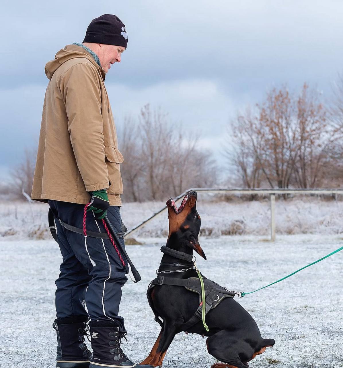 protection training